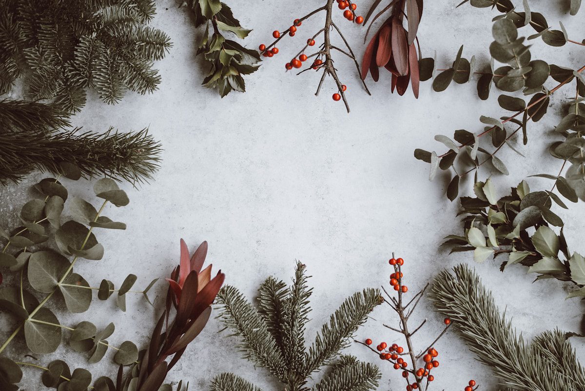 Flat lay with pine branches, eucalyptus, and red berries borders a soft grey background, open in the center for holiday design ideas.